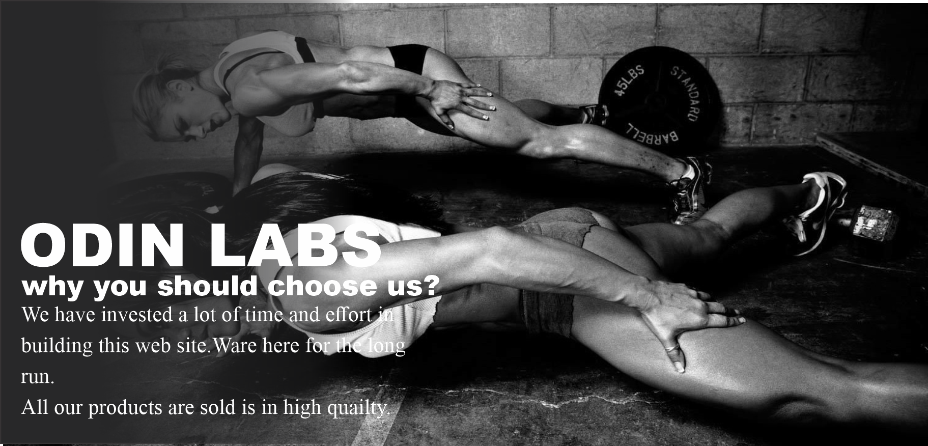 ODIN LABS